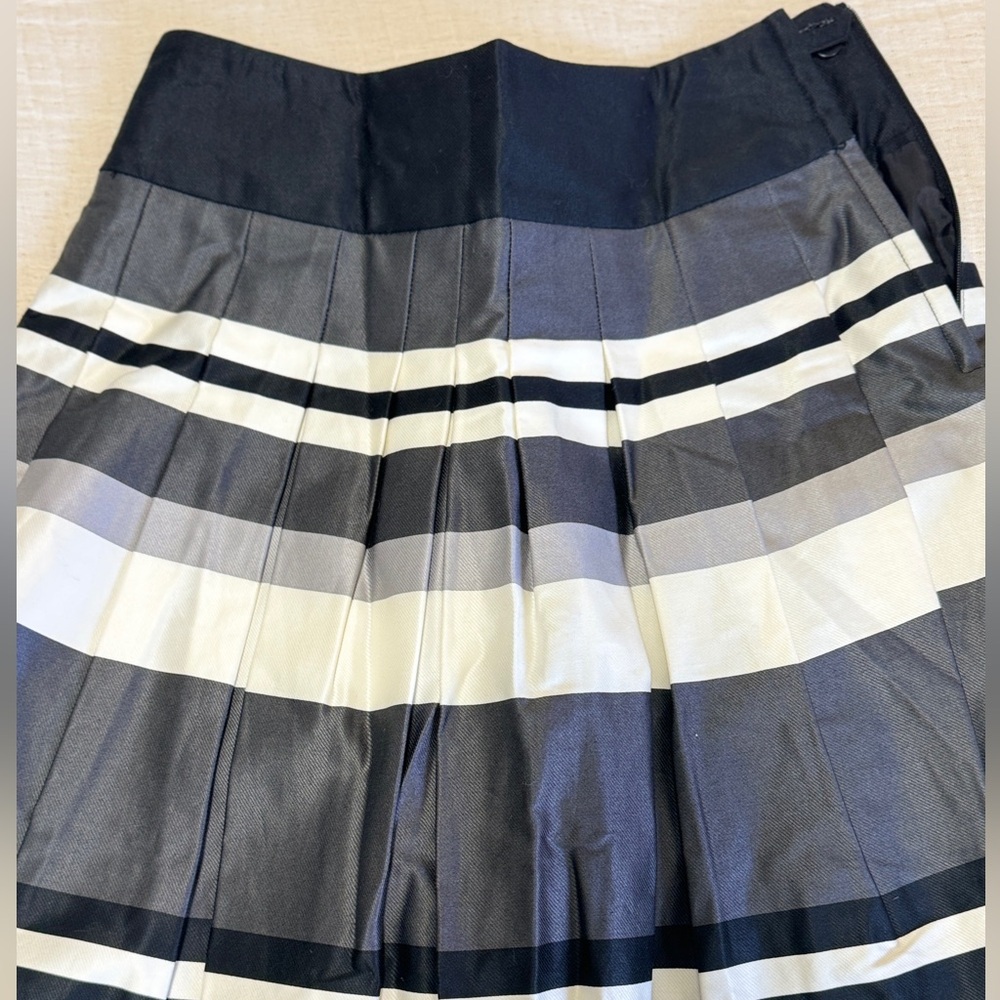 H&M Pleated Skirt